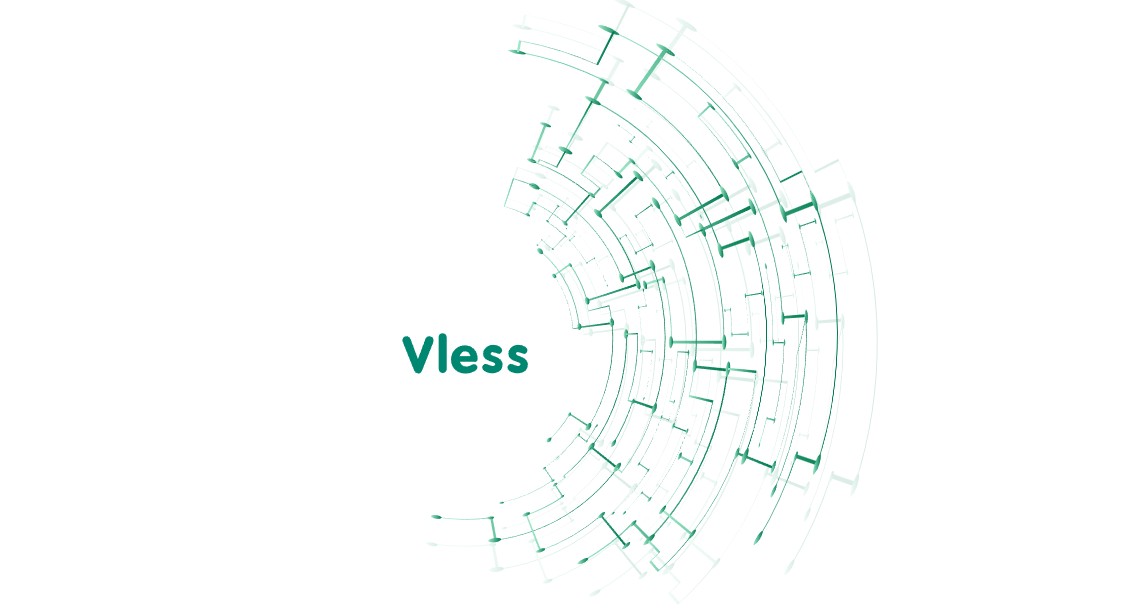 XTLS Vision в VLESS: что такое flow и как он работает XTLS Vision в VLESS: что такое flow и как он работает